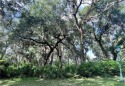 Buildable Corner Lot on the Northside of Sea Island. Wooded with for sale in Sea Island Georgia Glynn County County on GolfHomes.com