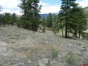 Connie Goodnight, Land Properties, LLC, C: , connie,  : Beaver for sale in South Fork Colorado Rio Grande County County on GolfHomes.com