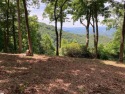  Ad# 6124001 golf course property for sale on GolfHomes.com