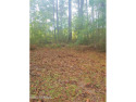 Close to South Brunswick Island Beaches in addition to golf for sale in Carolina Shores North Carolina Brunswick County County on GolfHomes.com