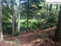  Ad# 6310294 golf course property for sale on GolfHomes.com
