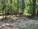 Lot on Mill Creek Golf Course. Great location, 0.506 acres for sale in Citronelle Alabama Mobile County County on GolfHomes.com