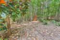  Ad# 6478535 golf course property for sale on GolfHomes.com