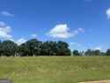 Beautiful Lot Located Right on The Southern Hills Golf Course for sale in Hawkinsville Georgia Pulaski County County on GolfHomes.com