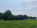 Lovely .445 acre lot with a great location off of Eckert Ln just for sale in Columbia Illinois St. Clair County County on GolfHomes.com