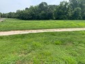 Lovely nearly .428 acre lot with a great location off of Eckert for sale in Columbia Illinois Monroe County County on GolfHomes.com