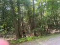 Enjoy the opportunity to design a full-time residence or for sale in Grantham New Hampshire Sullivan County County on GolfHomes.com