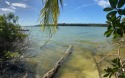 Exclusive opportunity to grab the last remaining lakefront lot for sale in Skyline  Nassau County on GolfHomes.com