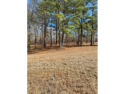 Building lot at Southern Hills Golf for sale in Hawkinsville Georgia Pulaski County County on GolfHomes.com