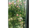  Ad# 6516375 golf course property for sale on GolfHomes.com