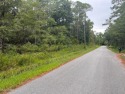 Nice residential lot, 75' of frontage on Pine St. Perfect place for sale in Ocean Springs Mississippi Jackson County County on GolfHomes.com