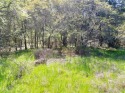 Great place to build a home on a secluded half acre lot in White, Texas