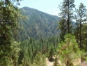 Experience mountain living at its finest on these 96 acres for sale in Garden Valley Idaho Boise County County on GolfHomes.com