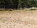  Ad# 6509259 golf course property for sale on GolfHomes.com