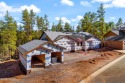 Incredible, elevated VIEWS of the forest and the tee box on the for sale in Show Low Arizona Navajo County County on GolfHomes.com