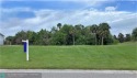 Built your home dream on this beautiful oversize 100/125 lot for sale in Other City - In The State Of Florida Florida Hillsborough County County on GolfHomes.com