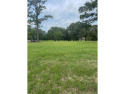 Beautiful one acre plus residential lot backs to Golf Course tee for sale in Lindale Texas Smith County County on GolfHomes.com