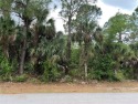 This 20,000 square foot double lot on a quiet street that would for sale in North Port Florida Sarasota County County on GolfHomes.com