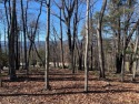 Two lots on one parcel number in Greenstreet Mountain Resort for sale in Traphill North Carolina Wilkes County County on GolfHomes.com