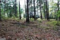 Great building lot with mature timber on a quiet street.  Ideal for sale in Greensboro Georgia Greene County County on GolfHomes.com