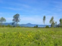 This 41-acre plot of land, situated in Derby (13.2A) and Newport, Vermont
