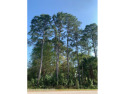 Build your new home!! This .23 acre lot is perfectly located in for sale in Palm Bay Florida Brevard County County on GolfHomes.com