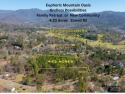 Imagine the endless opportunities awaiting you with this for sale in Weaverville North Carolina Buncombe County County on GolfHomes.com