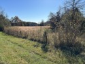 What an opportunity to build your new home on 3.16 acres in one for sale in Kingsport Tennessee Sullivan County County on GolfHomes.com