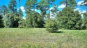 Ready to build your new home ?  See this fine Swann Home East for sale in Cordele Georgia Crisp County County on GolfHomes.com