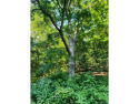  Ad# 6478632 golf course property for sale on GolfHomes.com