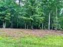 Public Remarks 
This .61 acre lot in the beautiful Swift Island, North Carolina