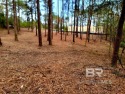 This lot is an absolutely magnificent place to build your dream for sale in Daphne Alabama Baldwin County County on GolfHomes.com