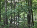 LOOKING FOR ACREAGE AT LAKE BLACKSHEAR. Look no further for a for sale in Cordele Georgia Crisp County County on GolfHomes.com