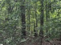 Tucked within the scenic Foxwood Hills community, this .44-acre for sale in Westminster South Carolina Oconee County County on GolfHomes.com