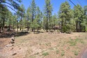 THE VALLEY HEAT IS ON~Lace up your hiking boots, trails & lakes for sale in Pinetop Arizona Navajo County County on GolfHomes.com