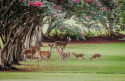  Ad# 6721604 golf course property for sale on GolfHomes.com