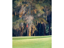  Ad# 3213962 golf course property for sale on GolfHomes.com
