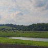 Lot 48 Golden Ponds Addition to Westbridge! Located in for sale in Waunakee Wisconsin Dane County County on GolfHomes.com