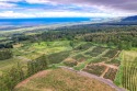 Only 6 lots remain out of 73 in this popular Ag subdivision for sale in Pahala Hawaii Big Island County County on GolfHomes.com