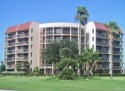 Take it easy at this unique and tranquil updated and fully for sale in Pharr Texas Hidalgo County County on GolfHomes.com