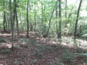 Superior building lot in the Rock at Jocassee Golf course.  This for sale in Pickens South Carolina Pickens County County on GolfHomes.com