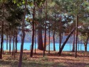 Premier homesite with broad water views.  Trees, privacy and for sale in Cape Charles Virginia Northampton County County on GolfHomes.com