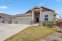 This GEM has everything!!!  This amazing property is the most for sale in Peyton Colorado El Paso County County on GolfHomes.com