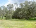 This ready to build on 1.37 acre lot is located only 25 minutes for sale in Coarsegold California Madera County County on GolfHomes.com