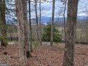 Discover the perfect canvas for your dream home on an ideal 1 for sale in Hayesville North Carolina Clay County County on GolfHomes.com