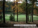 Large Golf Course lot on The Cove Golf Course 15th Green. From for sale in Lake Ozark Missouri Camden County County on GolfHomes.com