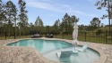 Welcome to 320 Gulf Pines Ct, a spacious retreat boasting 4,372 for sale in Freeport Florida Walton County County on GolfHomes.com