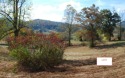 Premium Mountain home sites on 1 or more acres, each with views for sale in Hayesville North Carolina Clay County County on GolfHomes.com