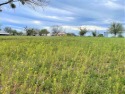 Two City lots, cleared and ready to build on. Great location for sale in Llano Texas Llano County County on GolfHomes.com