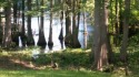 DREAM HOMESITE ON LAKE MARION COVE. FISH FROM YOUR OWN DOCK. 1 for sale in Santee South Carolina Orangeburg County County on GolfHomes.com
